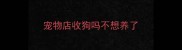 宠物店收狗吗不想养了