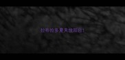 拉布拉多夏天放阳台