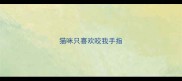 猫咪只喜欢咬我手指