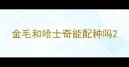 金毛和哈士奇能配种吗