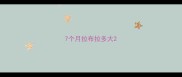 7个月拉布拉多大