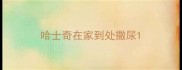 哈士奇在家到处撒尿