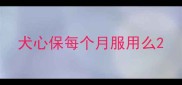 犬心保每个月服用么