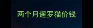 两个月暹罗猫价钱
