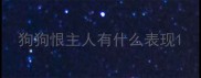 狗狗恨主人有什么表现