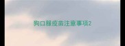 狗口服疫苗注意事项