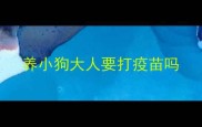 养小狗大人要打疫苗吗
