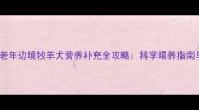 8岁边牧必看中老年边境牧羊犬营养补充全攻略科学喂养指南与必备营养品清单