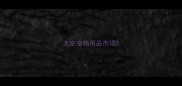 北京宠物用品市场