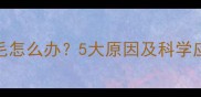 猫咪掉毛怎么办5大原因及科学应对指南