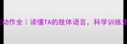 泰迪犬动作全读懂TA的肢体语言科学训练更高效