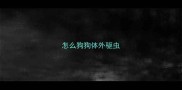 怎么狗狗体外驱虫