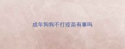 成年狗狗不打疫苗有事吗