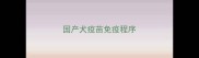 国产犬疫苗免疫程序