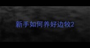 新手如何养好边牧