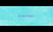 洛阳最好宠物医院
