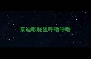 泰迪喉咙里呼噜呼噜