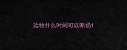 边牧什么时间可以断奶