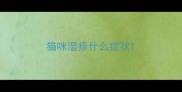 猫咪湿疹什么症状