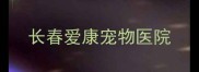 长春爱康宠物医院