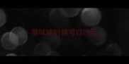 猫咪啥时候可以洗澡