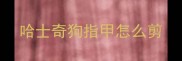 哈士奇狗指甲怎么剪