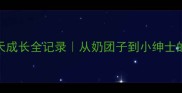 泰迪幼犬30天成长全记录从奶团子到小绅士的蜕变日记
