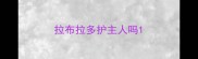 拉布拉多护主人吗