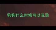 狗狗什么时候可以洗澡