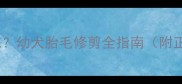 狗狗断奶期何时剪胎毛幼犬胎毛修剪全指南附正确方法与注意事项