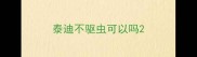 泰迪不驱虫可以吗