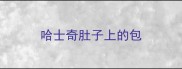 哈士奇肚子上的包