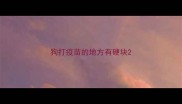 狗打疫苗的地方有硬块
