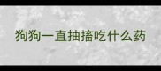 狗狗一直抽搐吃什么药