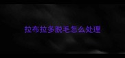 拉布拉多脱毛怎么处理