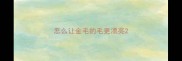 怎么让金毛的毛更漂亮