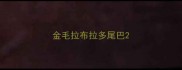 金毛拉布拉多尾巴