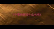 2个要边牧没什么长高