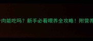猫咪生骨肉能吃吗新手必看喂养全攻略附营养配比表