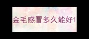金毛感冒多久能好