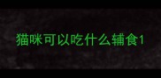 猫咪可以吃什么辅食