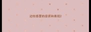 边牧感冒的症状和表现