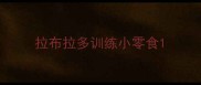拉布拉多训练小零食