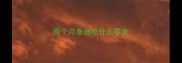 两个月泰迪吃什么零食