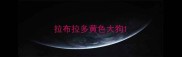 拉布拉多黄色大狗