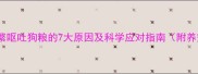 金毛犬频繁呕吐狗粮的7大原因及科学应对指南附养宠误区