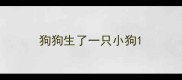 狗狗生了一只小狗
