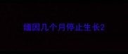 缅因几个月停止生长