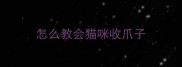 怎么教会猫咪收爪子