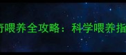 两个月大哈士奇喂养全攻略科学喂养指南与注意事项